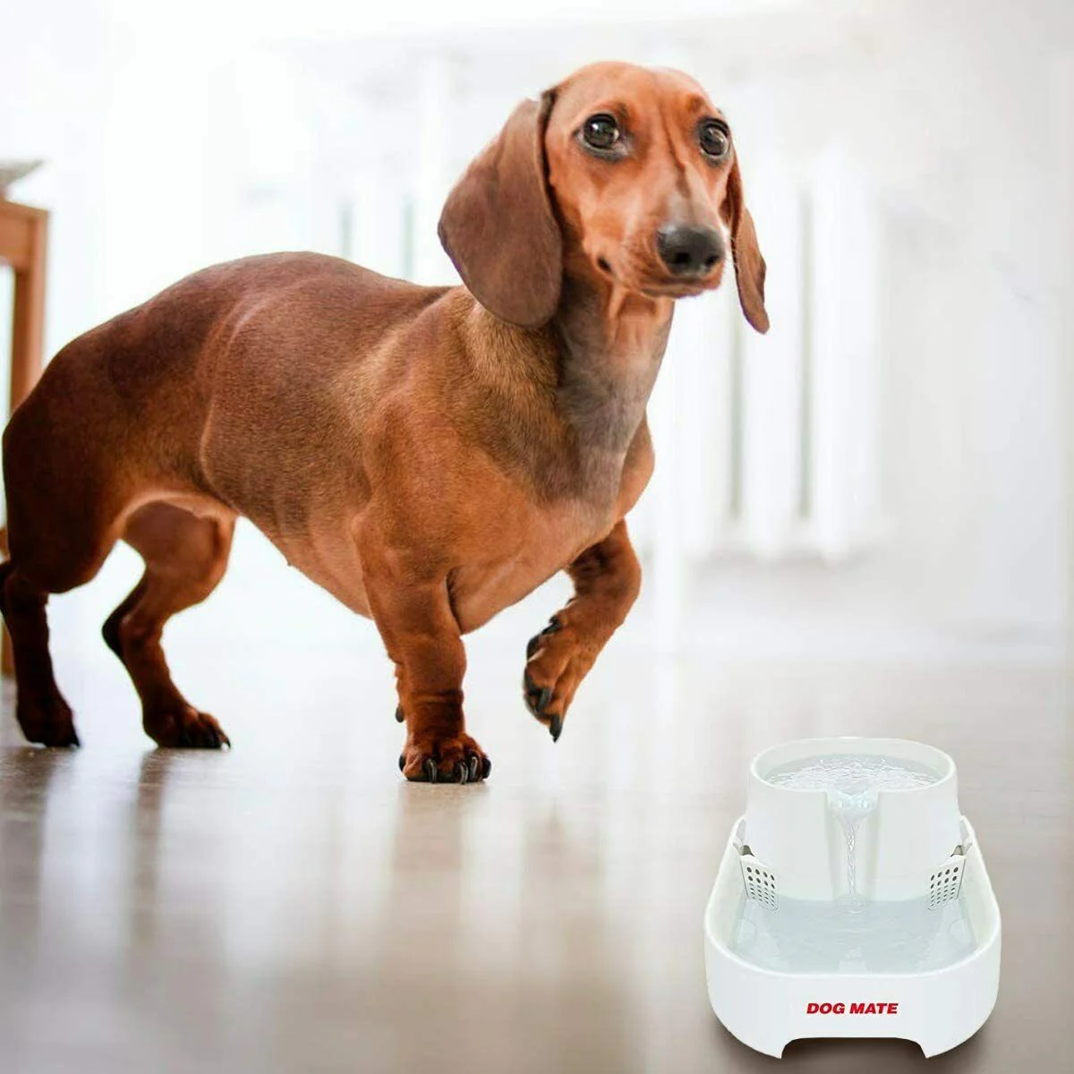 6 Cat Mate, Dog Mate Pet Fountain Fresh Drinking Water Purification Filters - Image 5